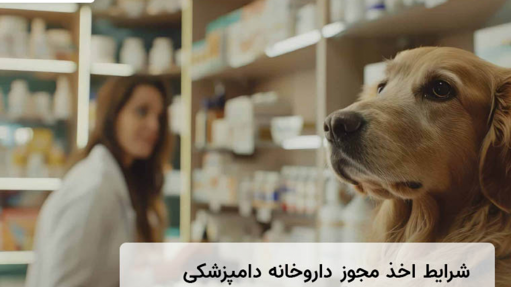 شرایط اخذ مجوز داروخانه دامپزشکی