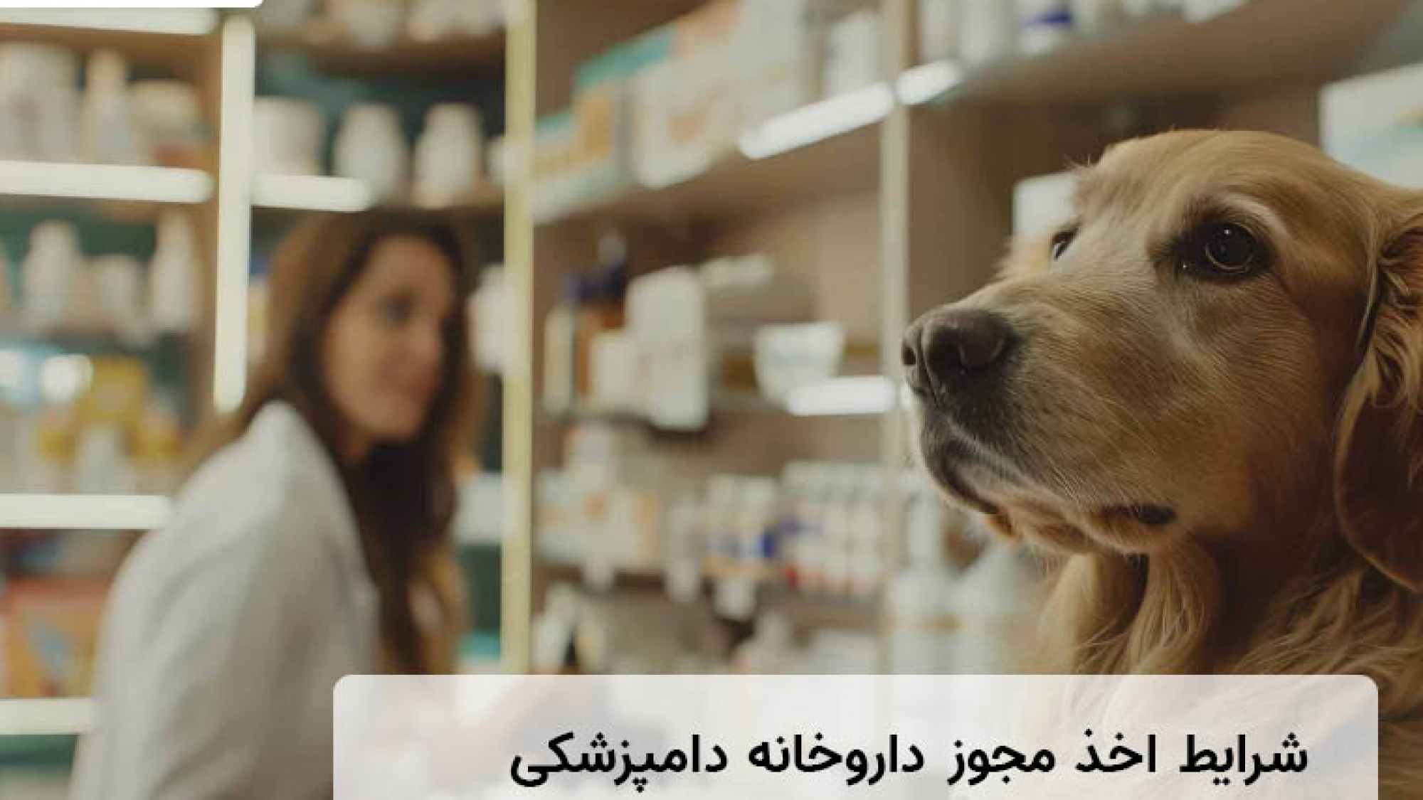 شرایط اخذ مجوز داروخانه دامپزشکی